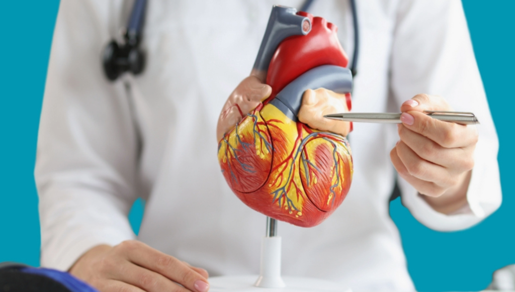 echo serca a migotanie przedsionkow