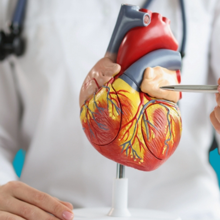 echo serca a migotanie przedsionkow